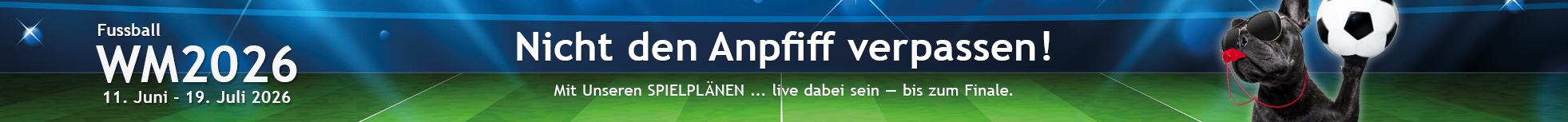 SPIELPLÄNE zur WM 2026